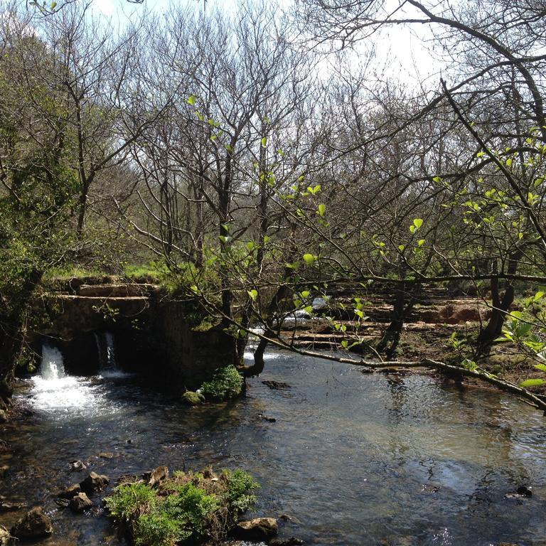 Trisileja En Puente Romano Toñanes Εξωτερικό φωτογραφία
